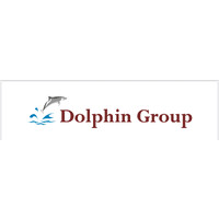 Dolphin Group logo - Similar company to Howe Point Capital