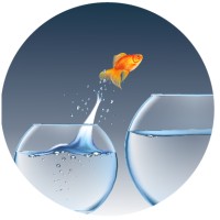 IMS Africa Ltd logo - Similar company to Sewertech Kenya Ltd