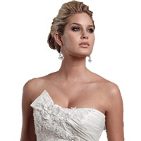 Bridal Gown Preservation logo - Similar company to Chicago Style Weddings