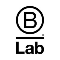 B Lab logo - Similar company to Sistema B Brasil