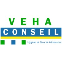 VEHA CONSEIL logo - Similar company to Mercury Global Solutions