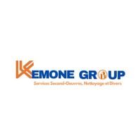 Kemone Group Sarl U logo - Similar company to Weda Robotics