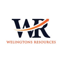 Welingtons Resources logo - Similar company to Goodkids Malaysia