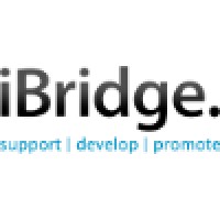 Ibridge Solutions Ltd