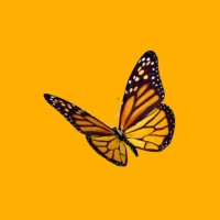 Monarch Coaching and Training (Pty) Ltd - Lisa le Roux logo - Similar company to Brain Exchange Solutions