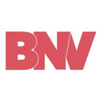 BrandNewVerse logo - Similar company to Soluteca