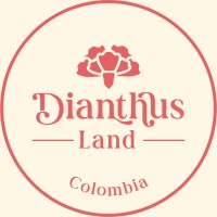 Dianthus Land Colombia logo - Similar company to Sb Talee