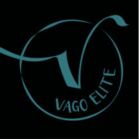 Vago Elite logo - Similar company to Beyond Knowledge