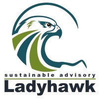 Ladyhawk logo - Similar company to Net-Positive Solutions