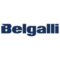 Belgalli logo - Similar company to Tdev.Be