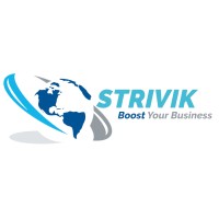 STRIVIK BUSINESS SOLUTIONS PVT LTD logo - Similar company to Techyzer Consultancy