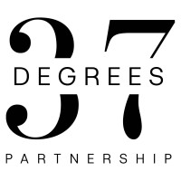 37 Degrees Partnership logo - Similar company to Panascea