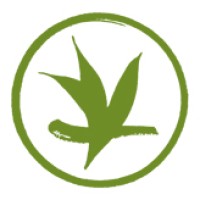 Verdant Tea logo - Similar company to Premium Steap