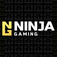 Ninja Gaming logo - Similar company to Ncs Technologies