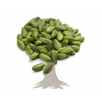 El Granero Verde S.L. logo - Similar company to Fixcer Products Sa