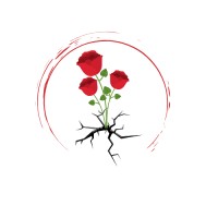 Rose From Concrete