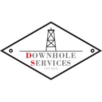 Downhole Services logo - Similar company to Eastern Welding