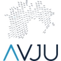 Avju Solutions logo - Similar company to Magtech As
