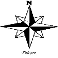 Indiogene logo - Similar company to Studio Deusebio