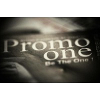 PromoOne logo - Similar company to Digital Light Windows