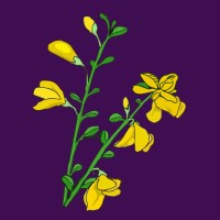 Plantagenet Discoveries logo - Similar company to Restless Stories