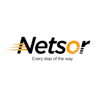 Netsor Company Limited logo - Similar company to Sofiamatics