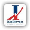 Intellinvest logo - Similar company to Intelliinvest