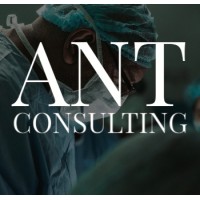 ANT Consulting logo - Similar company to Ant Consulting