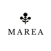 Marea by Liz Joy logo - Similar company to Dtcxc