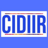 Centro De Investigación En Derecho Internacional E Integración Regional (Cidiir).