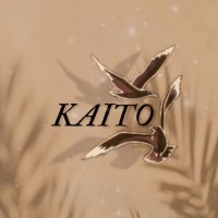Kaito Aesthetics logo - Similar company to Shiloah Therapy And Learning Centre