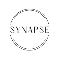 Synapse Management logo - Similar company to Noburo