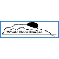 Whale Rock Images
