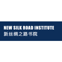 New Silk Road Institute logo - Similar company to Singularity Academy