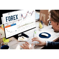 MT5 India logo - Similar company to Fincorefx
