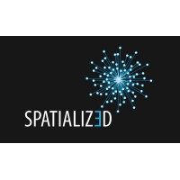 Spatialized logo - Similar company to Natural Selection Design