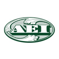 Aei Capital Corporation