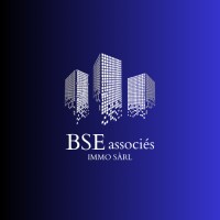 BSE associés Immo Sàrl logo - Similar company to Dao Express Sàrl