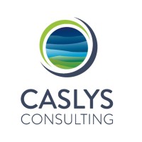 Caslys Consulting Ltd. logo - Similar company to Terra Remote Sensing