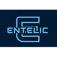 Entelic Solutions logo - Similar company to Codingwww
