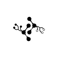 Synapeer Technologies logo - Similar company to Synapse Technologies, Inc.