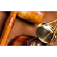 Physician Assistant Expert Witness Services logo - Similar company to Physician Assistant Jobs (Pa Jobs) - Pajobsite.Com