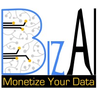 BizAI Consulting logo - Similar company to Solyield