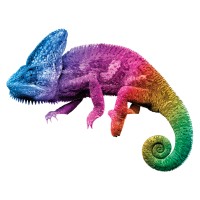 Accurate Box Company