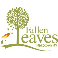 Fallen Leaves Recovery, LLC. logo - email format related to Steely Plastic Surgery