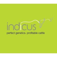 Indicus East Africa Limited logo - Similar company to Kerio Valley Development Authority