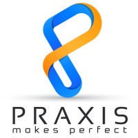 Praxis Solutions LLC logo - Similar company to Praxis Solutions