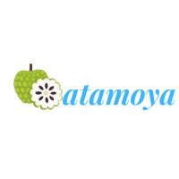 Atamoya.com logo - Similar company to Software Technology Group, Inc