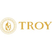 Yavascalar Troy Holding LLC logo - Similar company to Coco Jungle Llc