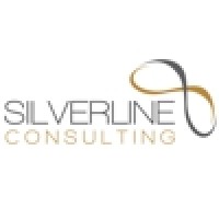 SilverLine Consulting logo - Similar company to Sanctuary Software Studio, Inc.
